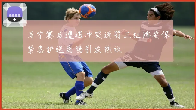 马宁赛后遭遇冲突连罚三红牌安保紧急护送离场引发热议